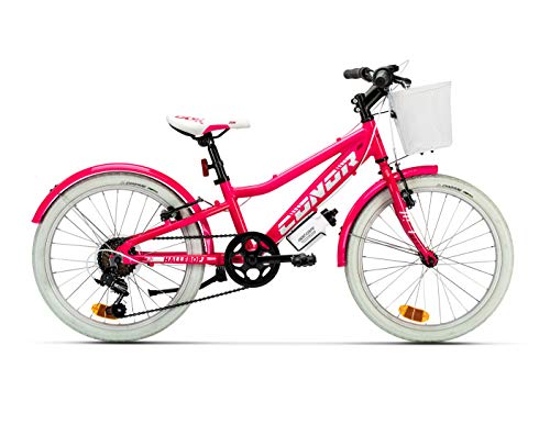 Conor Bicicleta HALEBOB Rosa. Bicicleta Infantil de Cuatro Ruedas. Bici  para niños y/o niñas de 6 a 8 años. Bike con Ruedas de Entrenamiento,  ruedines. Cuadro de Acero 20 Pulgadas. – Duamy